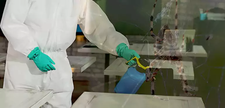 Why Buyers Still Want Homes With Pest Infestations in Peoria, AZ?