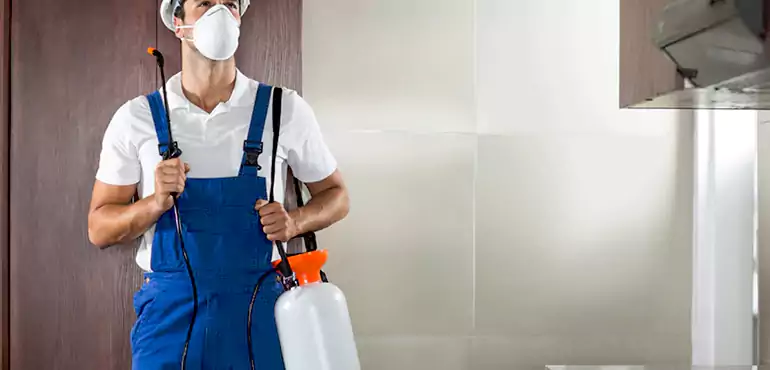 Why Peoria Homeowners Choose Us When Pests Make Selling Difficult